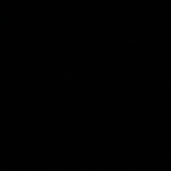 Meet your Posher, Julie - Picture 1 of 1